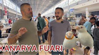 ULUSLARARASI KANARYA BÜLBÜL PAPAĞAN FUARI BURSA.   FİYAT SORDUK