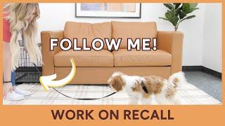 Recall Work [Video 11/14]