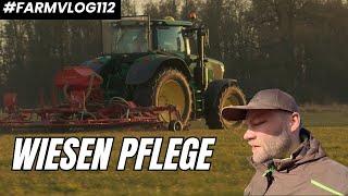 Wie kann man so doof sein?! Wiesen striegeln mit dem Profi FARMVLOG #112