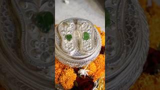 Gupt Vrindavan Dham Krishna Balram दर्शन 12 June 2025 #krishna #balram #harekrishna  #trending #new