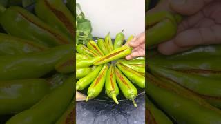 #shorts bharwa mirchi ka achar  आसान और चटपटा आचार | green chilli pickle