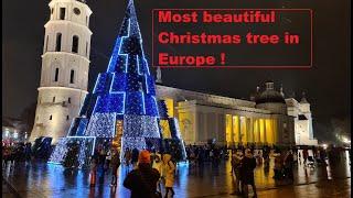 Lithuania. Vilnius Christmas Tree 2021. Vilniaus Kalėdų eglė 2021. Різдвяна ялинка Вільнюса 2021