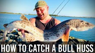 How To Catch a BULL HUSS! (Scyliorhinus Stellaris) U.K. Sea Fishing