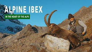 Alpine Ibex Hunt - In the Heart of the Alps | Camino Real Hunting Consultants