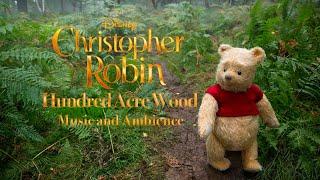 Hundred Acre Wood | Christopher Robin Music & Ambience