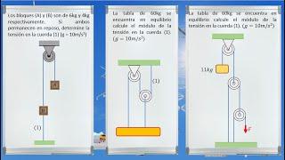 PROBLEMAS DE ESTÁTICA_NIVEL BÁSICO_FUERZAS PARALELAS_POLEAS