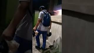 #knowledge100 #viral #shorts #shortvideo