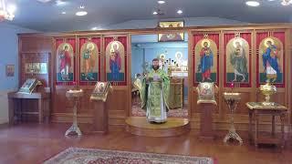 Orthros and Divine Liturgy - Sun. July 21,  2024