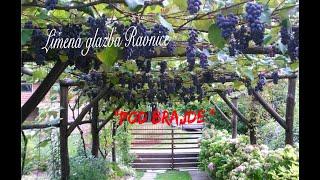 Limena glazba Ravnice - Pod brajde