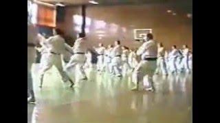 Shotokan Kata "Sorin-dai" Sadashige Kato sensei