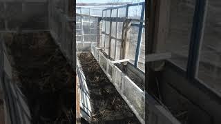 Теплица своими руками часть первая