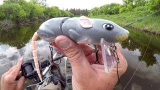 Fishing A Rat Lure On A River FULL Of Ferocious Beasts!