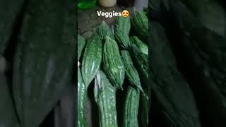 HARVEST DAY #satisfying #harvest #vegetable #happy #food #shortsviral #shortvideo #shorts #trending