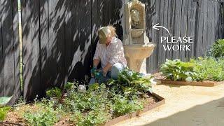 More Shade Planting & Fixing the Fountain AGAIN! ️