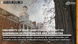 University of Maryland students react to suspension of fraternities and sororities