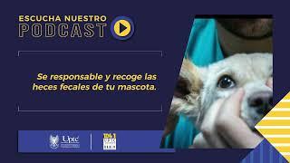 Podcast Conexión U - Tips para cuidar a nuestras mascotas.