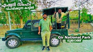 EP #67 - ഏഷ്യൻ സിംഹങ്ങളെ കാണാൻ ഞങ്ങൾ ഗുജറാത്തിൽ | Gir National Park