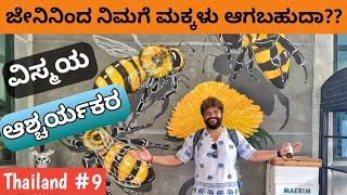 ಜೇನಿನ ಬಗ್ಗೆ ಗೊತ್ತಿರದ ವಿಸ್ಮಯಕಾರಿ ವಿಷಯಗಳು | Bees & fertility in Humans| Global Kannadiga | Thailand 