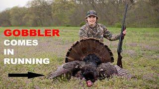 GOBBLER Comes In Running | Quick hunt