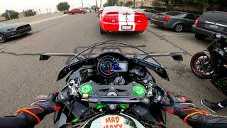 Ninja H2 gives NO MERCY! | Top Speed, Acceleration, Reactions #MAXYDAILY