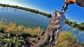 Summer Bank Fishing! (New PB Caught!)