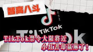 【智高八斗】TikTok禁令大限將近，小紅書卻贏麻了！#TikTok #洋抖 #小紅書 #紅薯 #字節跳動