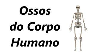 Ossos do Corpo Humano em 3D