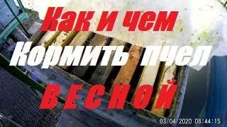 Как и чем кормить пчел весной.Ошибки пчеловода.Улья корпусные 8 рам.
