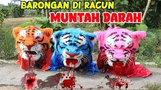 GAWAT️ BARONGAN MACANAN MUNTAH DARAH KARENA DI RACUN DI TOLONG RENDI DAN SANDI