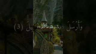 Quran Recitation -#shorts #youtube (3)