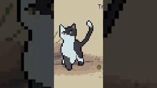 Poor Littlelilly  | Warrior Cats Clan Generator Highlights #warriorcats #clangen
