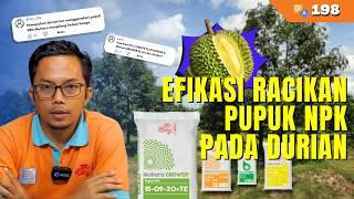 Efikasi Racikan Pupuk NPK Pada Durian | Q&A #198