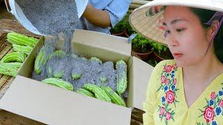 Dianxi Xiaoge Cooking Inspires Me : Summer And Dishes Made From Fruits | Video Full