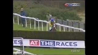 Kauto Star falls - But only just gets beaten