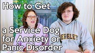 How to Get a Service Dog for Anxiety or Panic Disorder