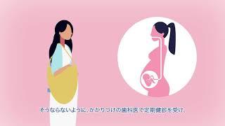 Oral Health & Pregnancy animation in Japanese