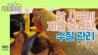 [역전의부자농부 224회] 사료만큼 중요한 닭 사육에 중요한 수질 관리