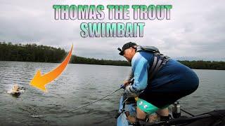 Trout Swimbait - Thomas the Trout Swimbait Catches BIG Bass From A Bonafide PWR129!