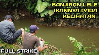 Mancing Lele ikannya pada kelihatan umpanku langsung Disambar