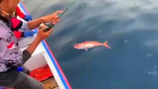 Mancing ikan besar di laut part 16 || Borneo pancing team