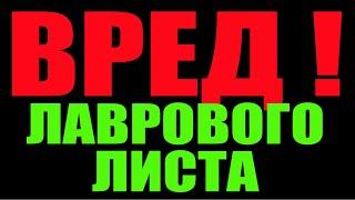 ВРЕД ЛАВРОВОГО ЛИСТА