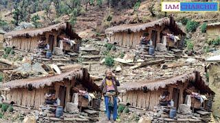 Himalayan Village Life|Nepal|Shepherd Life in Winter|Countary Side Food Cooking|Rural Village Life|