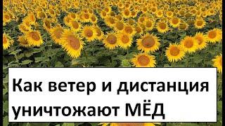 How honey is lost due to the distance to the field
