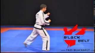 DO-SAN TUL by Jaroslaw Suska - www.tkd-blackbelt.com