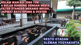 KOLAM IKAN KOI 2000 TON 6 BLN RUNING | RESTO OTADAN SLEMAN JOGJA