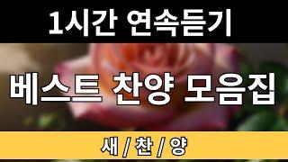 연속듣기 1시간 찬양 |  새로운 찬양 18곡  | 편곡 : 임진 | 베스트찬양 모음