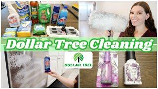 DOLLAR TREE CLEANING PRODUCTS 2021 | TESTING DOLLAR TREE CLEANERS | Rach Plus Five