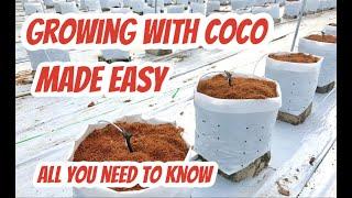 Everything you need to know about coco coir!