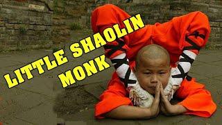 Wu Tang Collection - Little Shaolin Monk