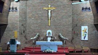 CtK Sunday 12noon Mass 5.1.2025